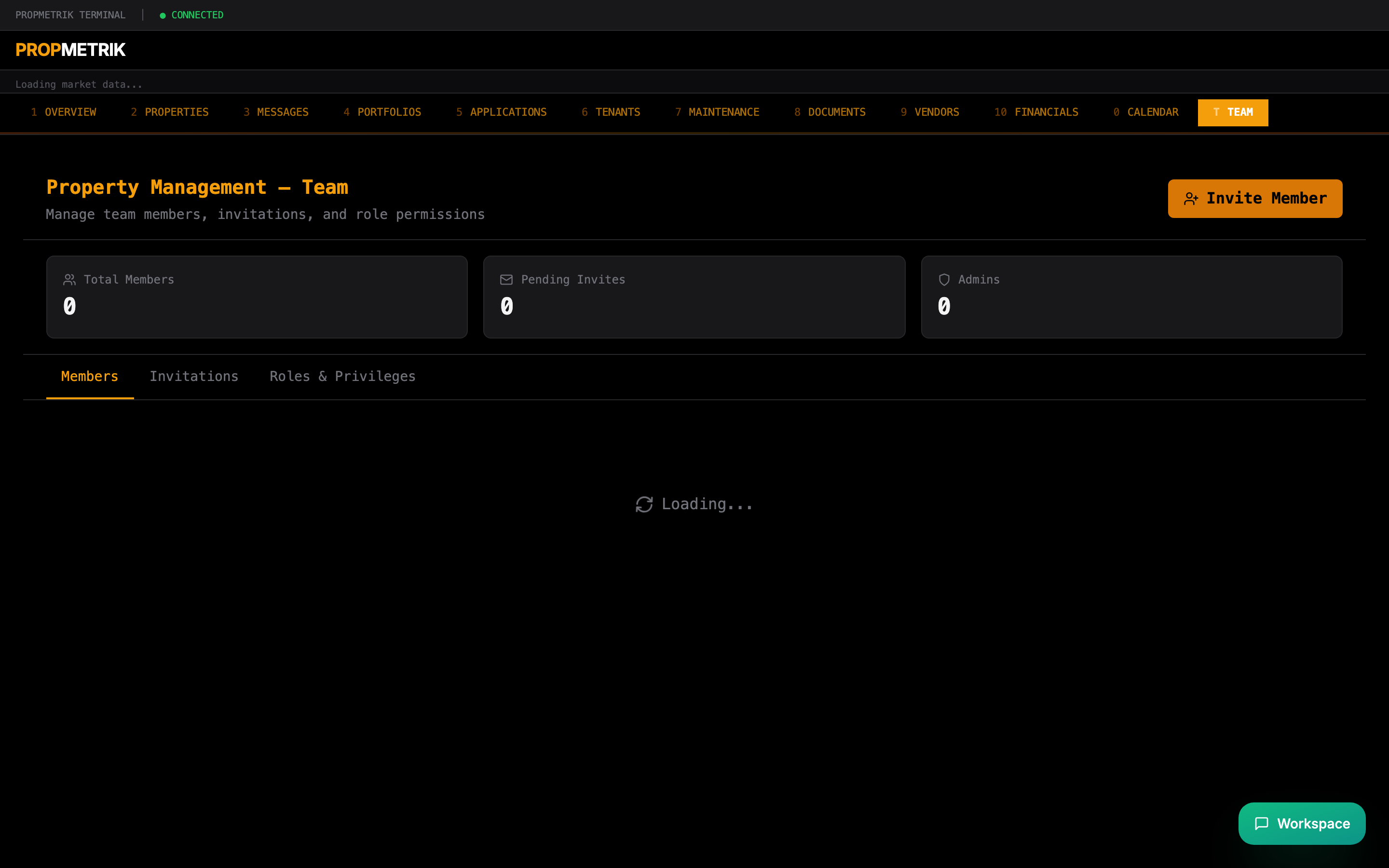 Team management showing team members and their roles