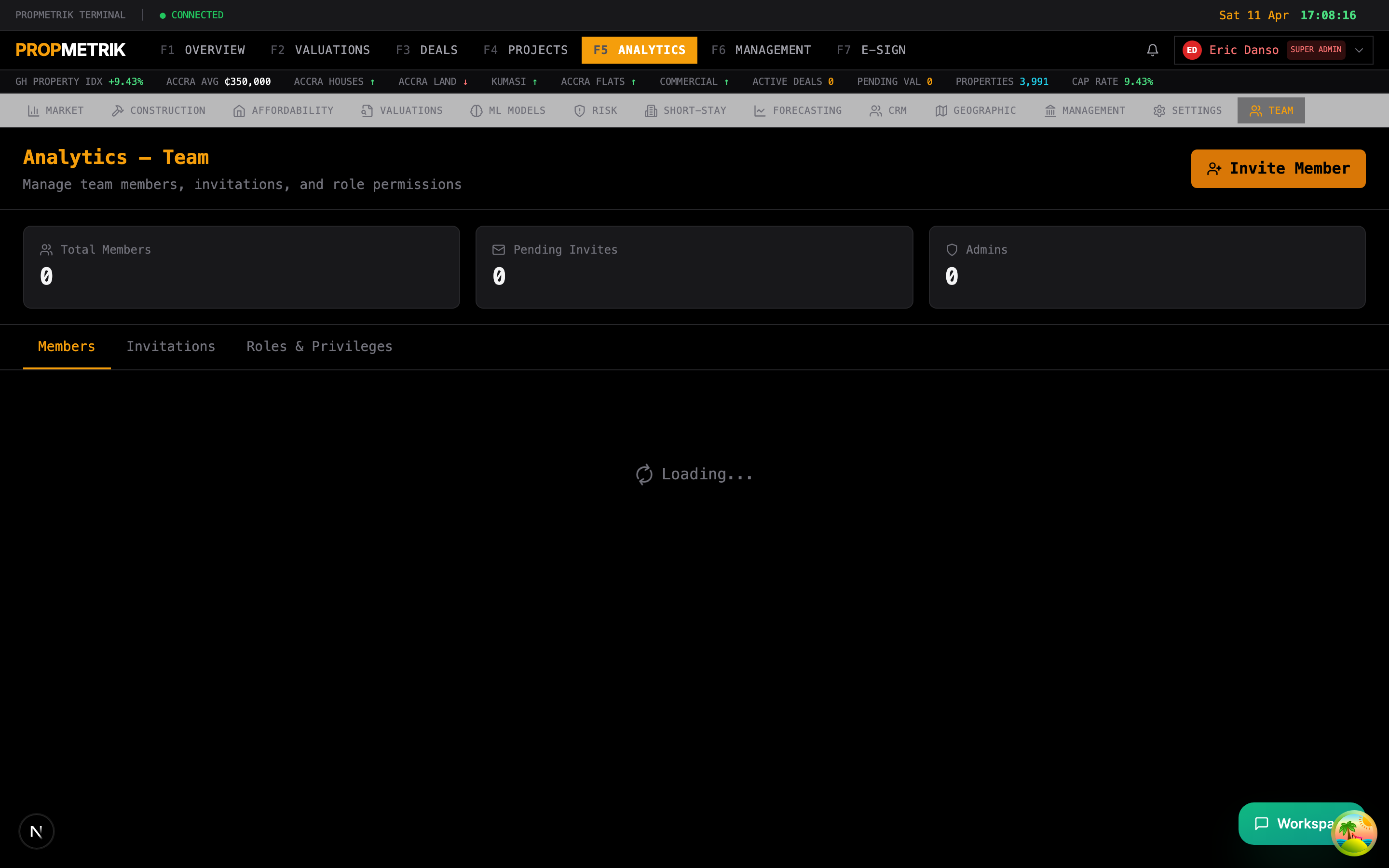 Team analytics showing member performance, workload, and capacity